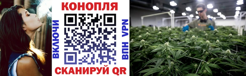 Где можно купить наркотики Коряжма КОКАИН  Амфетамин  Альфа ПВП  Гашиш  Меф мяу мяу 
