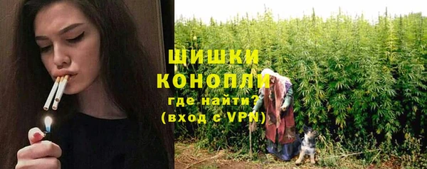 PSILOCYBIN Армянск