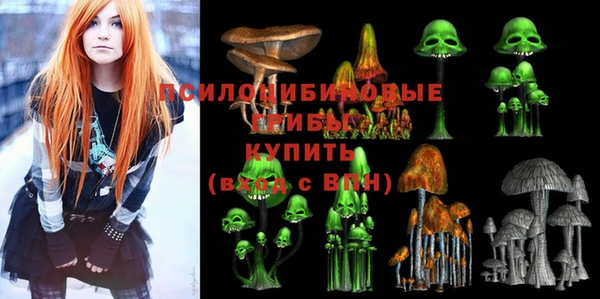 PSILOCYBIN Армянск