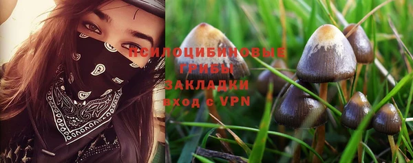 гашиш Кедровый