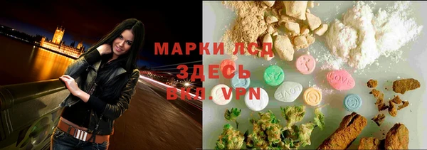 гашик Алексин