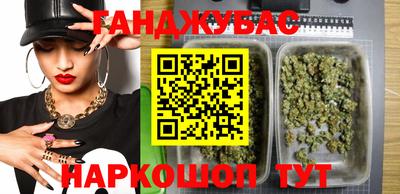 кокс Гатчина