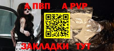 ECSTASY Гай