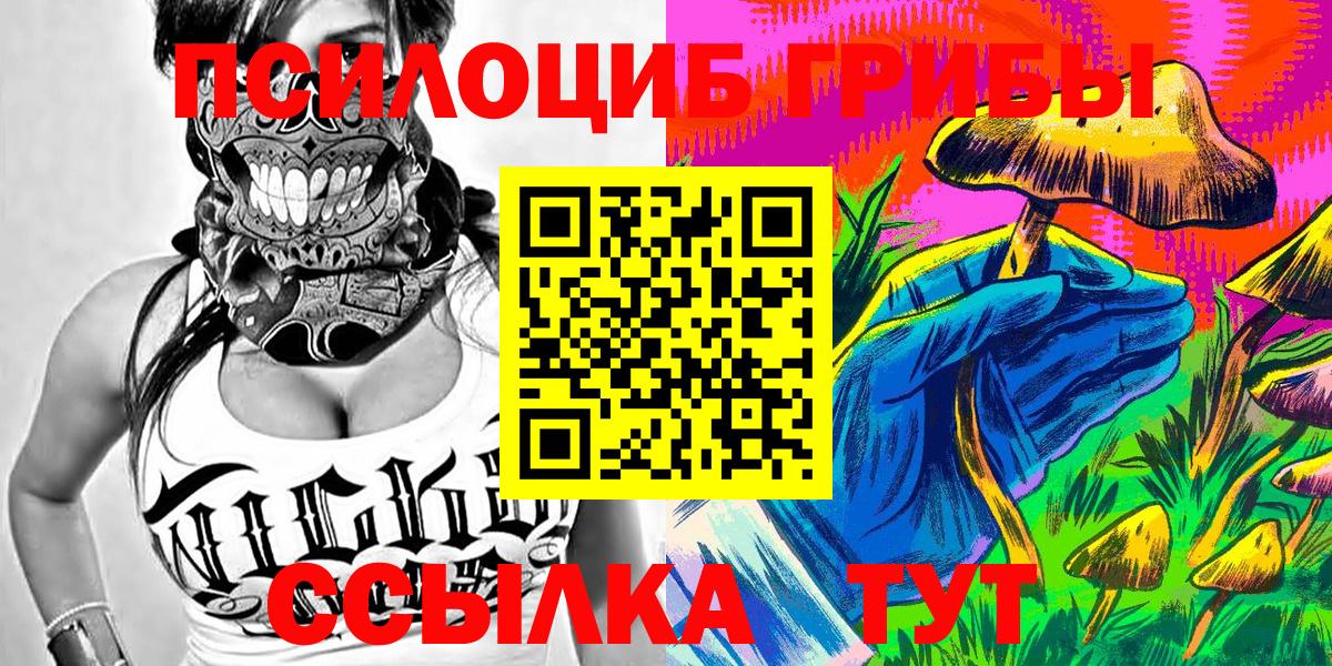 Галлюциногенные грибы Psilocybe Коряжма