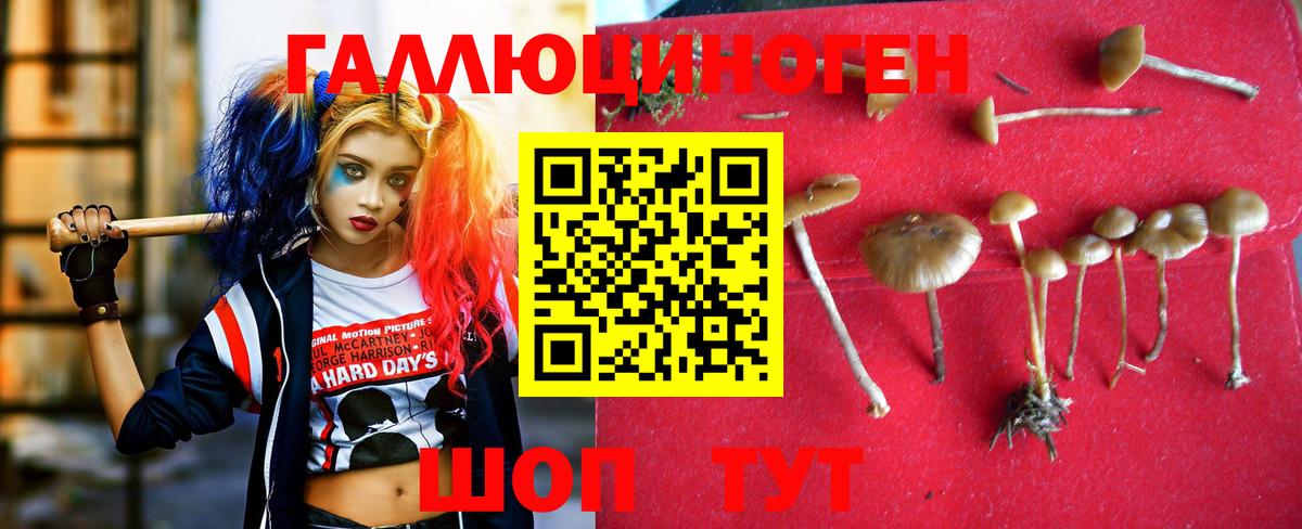 Псилоцибиновые грибы Cubensis  купить наркоту  Коряжма  Вход с VPN 