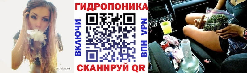 купить наркоту  Коряжма  Бошки марихуана AK-47 